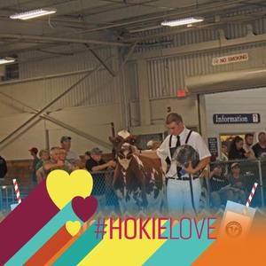 Meet your Posher, Joseph